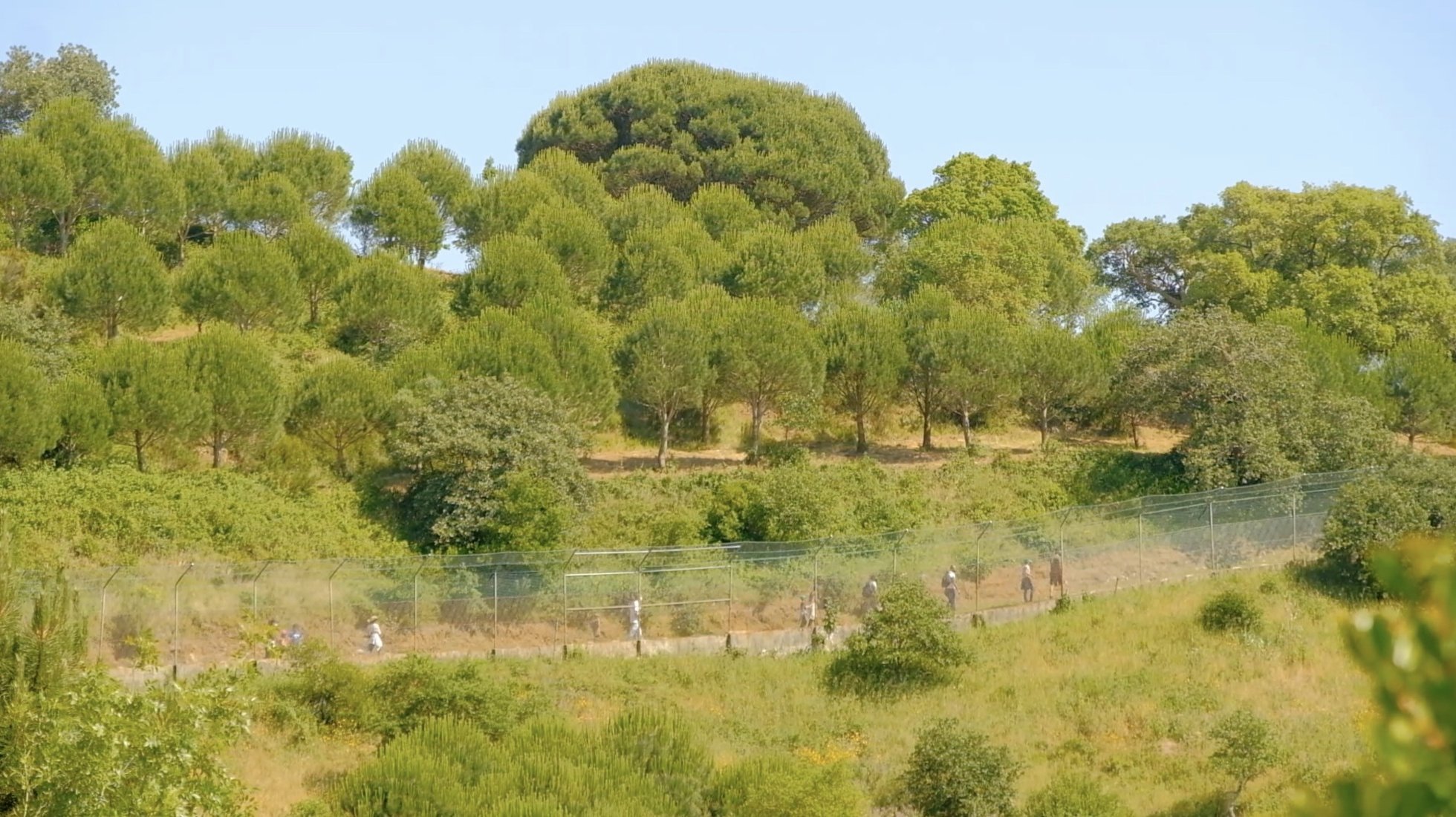 Iberian Wolf Recovery Center